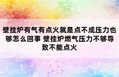 壁挂炉有气有点火就是点不成压力也够怎么回事 壁挂炉燃气压力不够导致不能点火